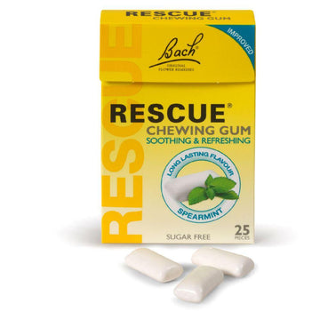 Chewing Gum 25 Pieces €“ Soothing & Refreshing Spearmint